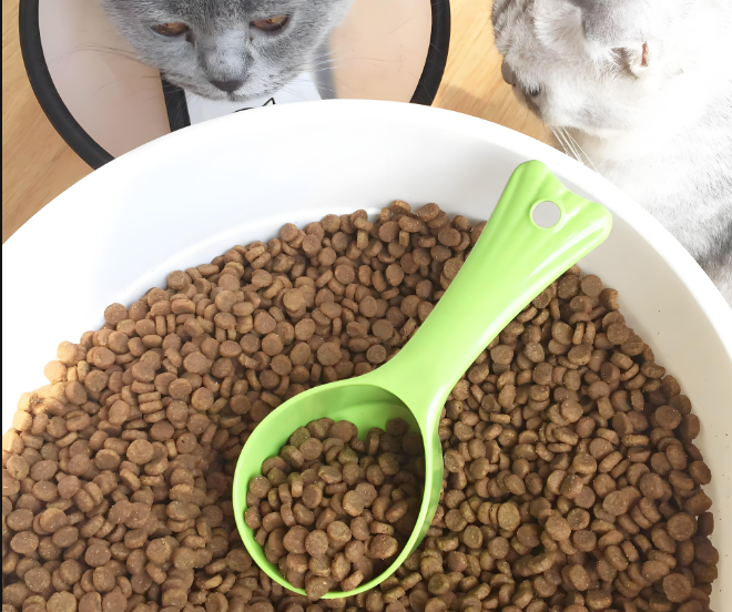 寵物食品檢驗測試服務(wù)：全方位守護(hù)寵物飲食安全！