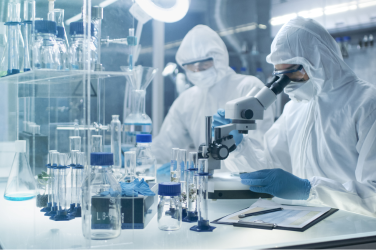 藥品質(zhì)量標(biāo)準(zhǔn)體系！