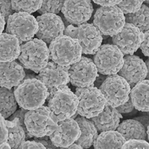 HPLC 固定相的都經(jīng)過的哪些變化？