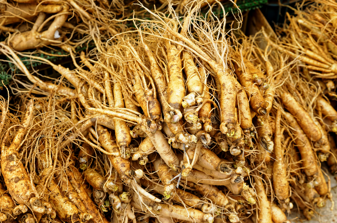 解析中藥藥效核心：入血成分分析助力中醫(yī)藥現(xiàn)代化發(fā)展！